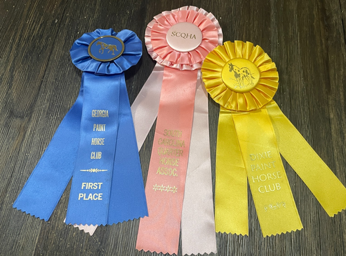 Lot 10 horse show ribbons rosettes crafts Race Watch Party Decor GA SC Clubs - 第 6/12 張圖片