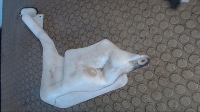 Scheibenwaschbehälter Renault Laguna Grandtour 1.6 16V B56, K56 7701672449 12