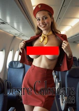2026 Stewardess Collectible Art Pin-up
