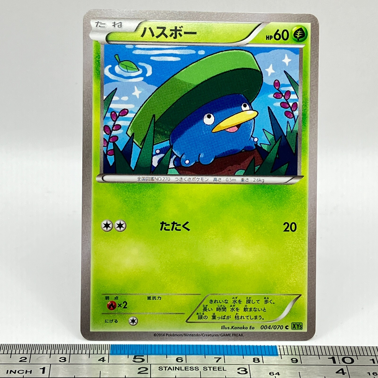 Lotad Pokemon Card 004/070 2014 XY5 Nintendo Game Freak TCG Japanese #121