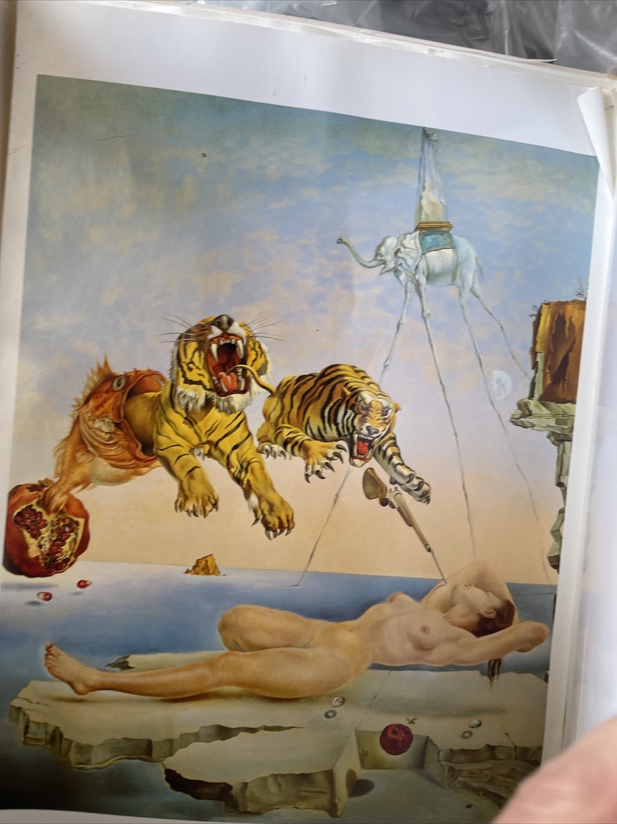 DALI POSTER BOOK 6 Posters (POSTERBOOK SER.)) By Taschen Shows