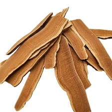 Reishi Mushroom 靈芝 (영지버섯) - Ganoderma lucidum Loose Slices