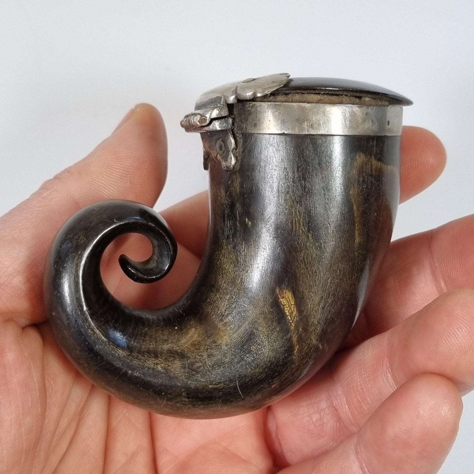 Antique 19thC Scottish Horn Snuff Mull 6.2cm High