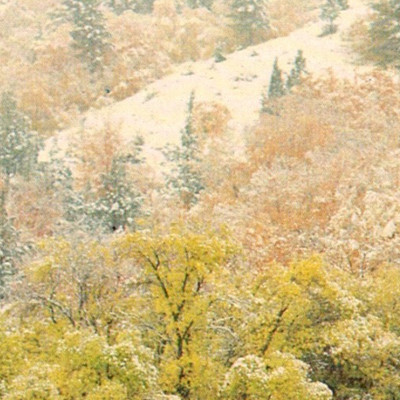 Vintage Postcard Snow Covered Fall Colors Cascade Mountains Northwest Oregon OR