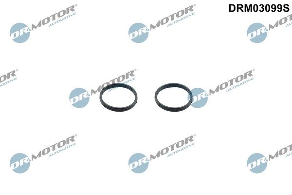 Dr.Motor Automotive DRM03099S Dichtungssatz, ÖLpumpe FüR CitroËN, Ds, Fiat, Ford-image