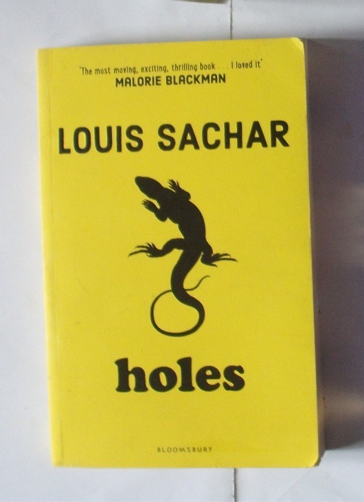 Holes: Louis Sachar by Sachar, Louis Book The Cheap Fast Free Post