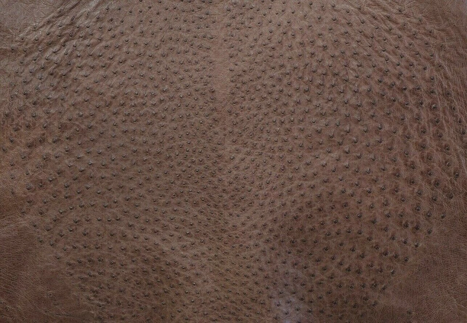  Ostrich Leather Hide, Rum Brown Maddog (%100 Natural Genuine Hide)   - Image 2 of 4