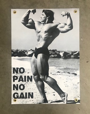 Arnold Schwarzenegger No Pain No Gain Lifting Gym Gainz Protein Golds Worlds | eBay