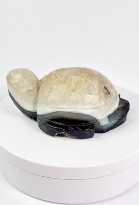 Achat Schildkröte Natur Kristall Stein Home Decoration Collection
