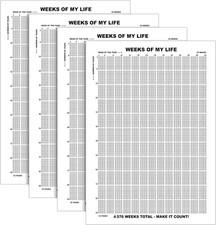 4 Pieces Weeks of My Life Calendar Memento Mori Poster Wall Decor Motivational Q