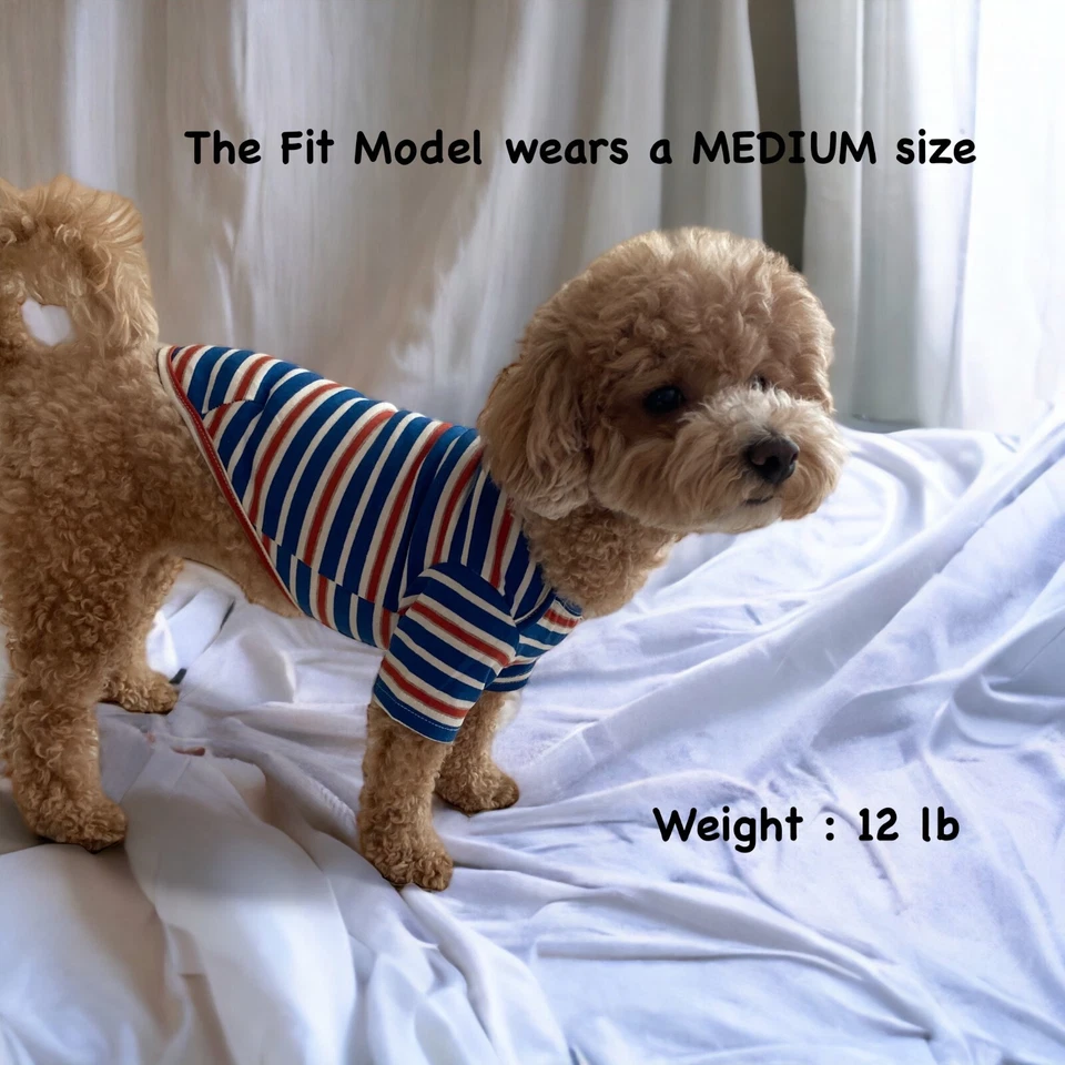 Pet Clothes cotton Dog Pet T-shirt / Cute short sleeve T-shirt / Stripe T-shirt - Image 4 of 4
