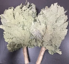 2 Oak Venik Sauna Broom Sauna Banya  КАВКАЗСКИЙ ДУБОВЫЙ ВЕНИК БАННЫЙ