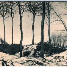 c1910s Denmark Christmas Greeting Glaedelig Jul Winter Snow Trees Postcard A352