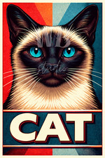 Photo Digital Product Wallpaper Image Picture Background for a print. A Cat - 2.