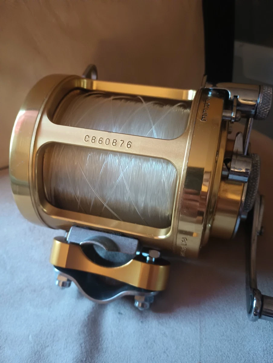 Penn International 30tw | eBay