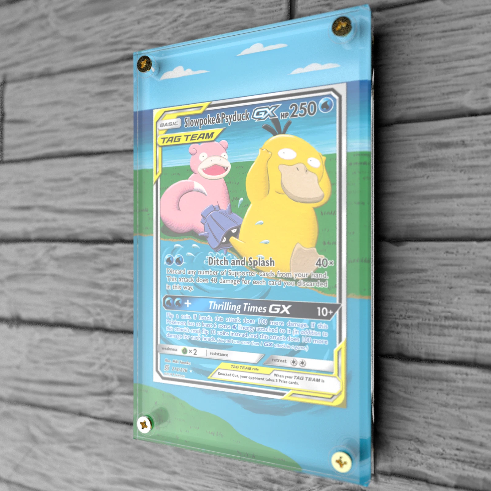 Pokeshield Display Image 3