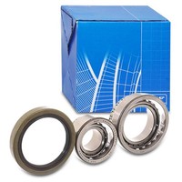 SKF Radlagersatz Passend FüR MERCEDES-BENZ S-KLASSE W140 C140