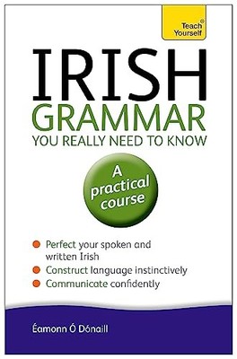 Irish Grammar You Really Need to Know: Teach Yourself (Teach You