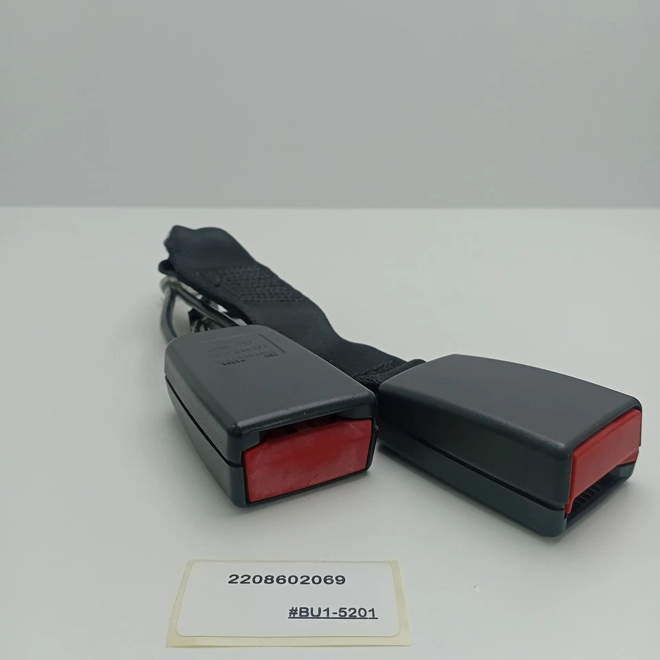 Mercedes-Benz S430 2000-2006 hebilla de cinturón de seguridad trasero derecho y central 2208602069 Foto 3 de 4