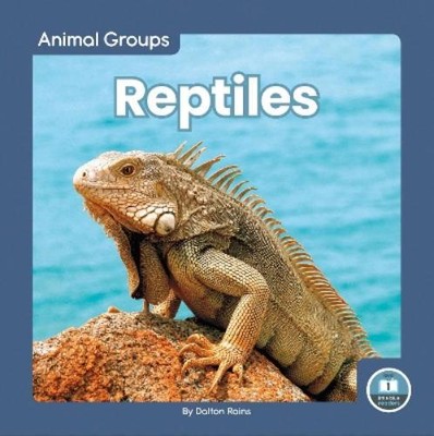 Dalton Rains Reptiles (Paperback) Animal Groups (UK IMPORT)
