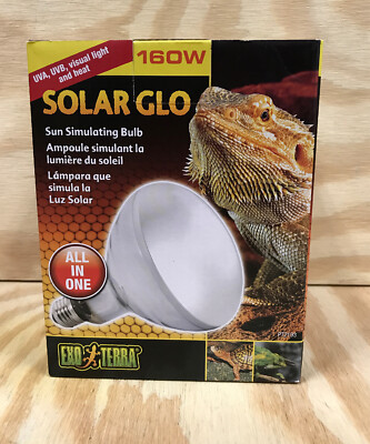 solar glo bulb