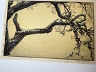 Toshi Yoshida Woodblock - Plum Tree and Blue Magpie — photo 2