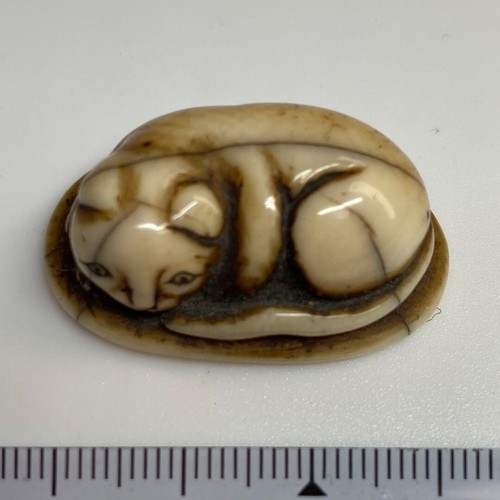 Edo Period Japanese Netsuke Sleeping Cat 3.6cm 9g Antique Hand Carved Figurine A - Picture 6 of 8