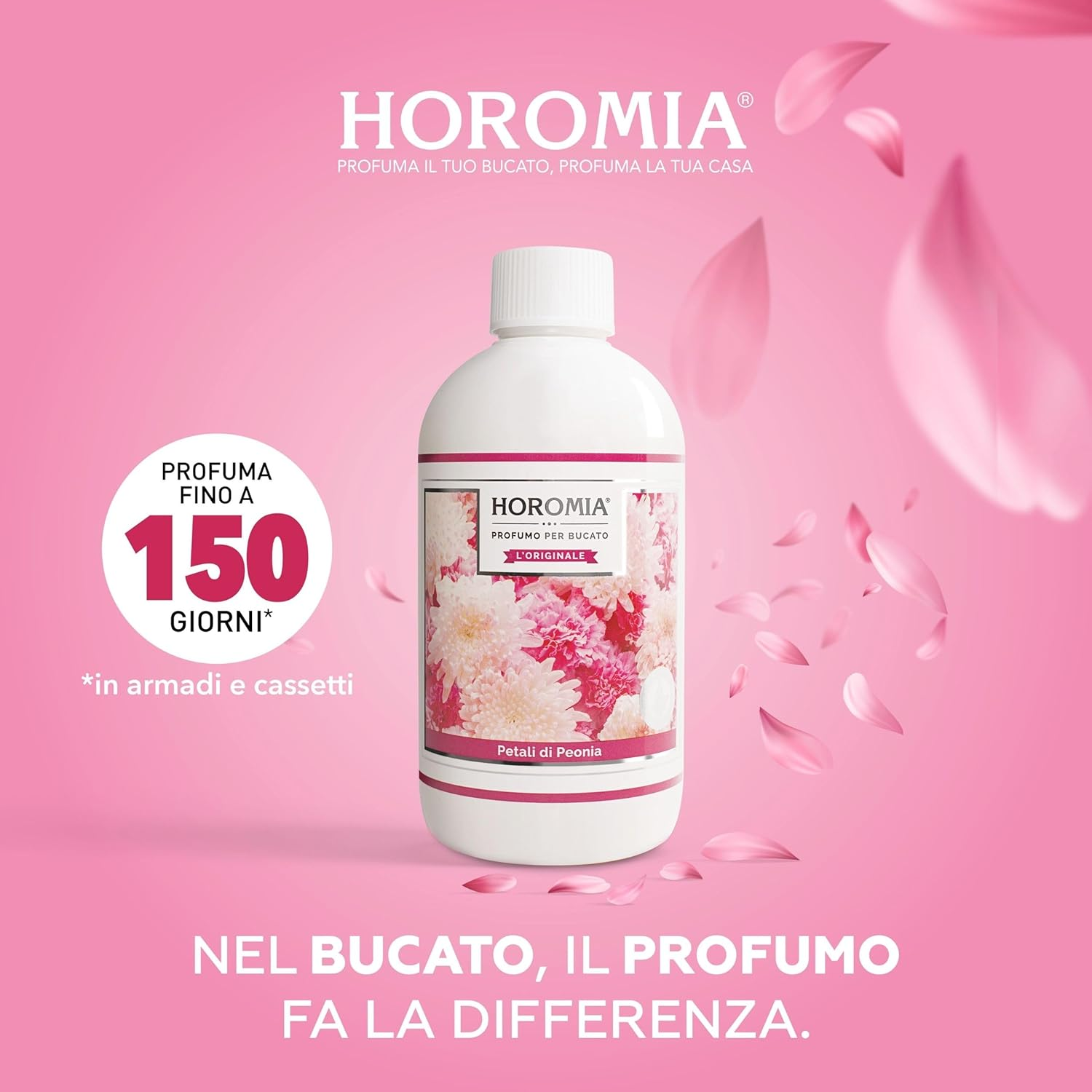 Foto 4 di 12