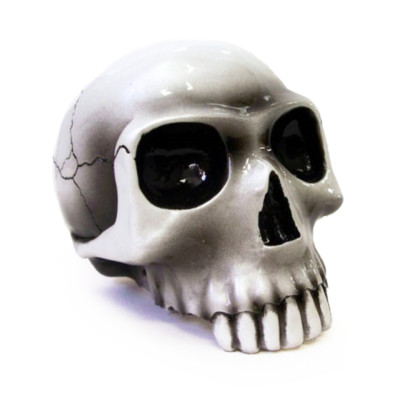 Richard Cranium - White - VanChase Custom Shift Knob