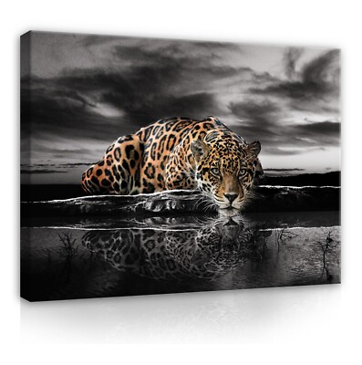 TIGER TIERE KATZE Leinwandbild Groß Wandbilder Leinwand Bilder Canvas Wandbild