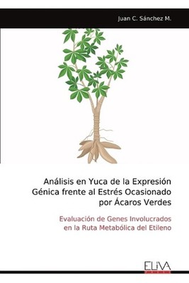 Anlisis en Yuca de la Expresin Gnica frente al Estrs Ocasionado por caros Verdes