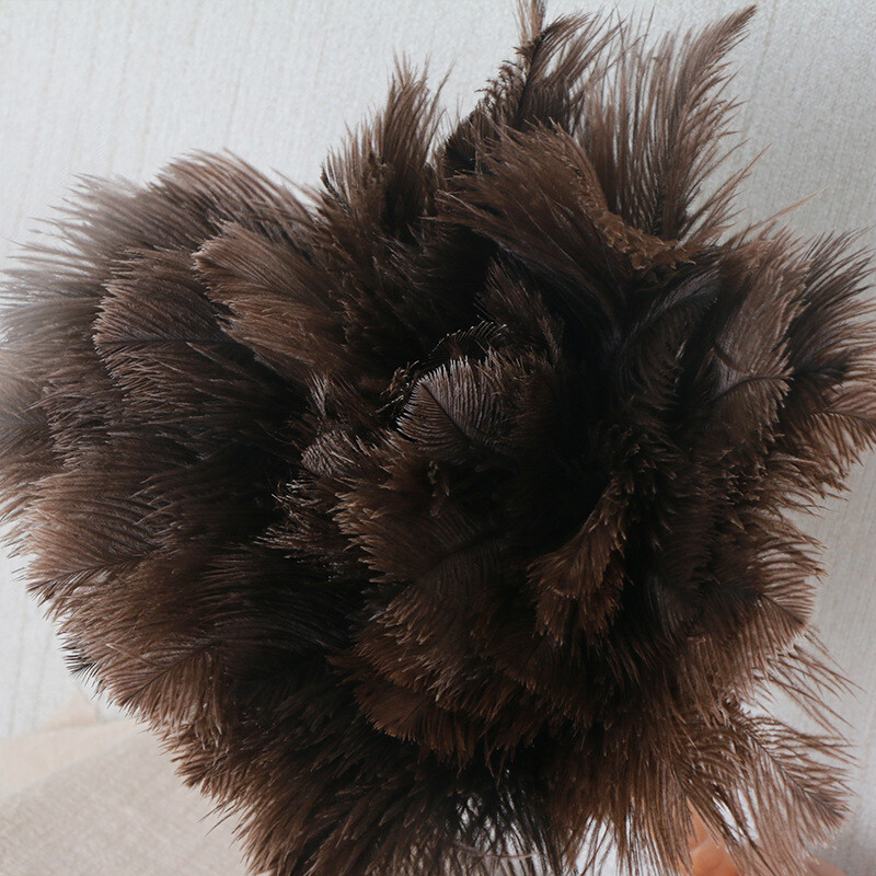Bild 8 von 8