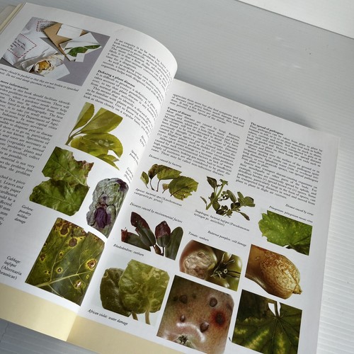 What Garden Pest or Disease is That Judy McMaugh Undated & Revised PB 2010 - Picture 6 of 13