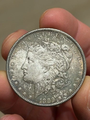 1889 UNC Toned Morgan Dollar!