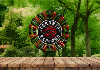 Basketball Wind Spinner | Toronto Raptors 10'' Sublimation Wind Spinner