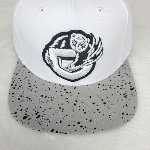 Vancouver Grizzlies Mitchell & Ness NBA Snapback Mütze Kappe 3D Logo weiß grau neu mit Etikett - Bild 3 von 9