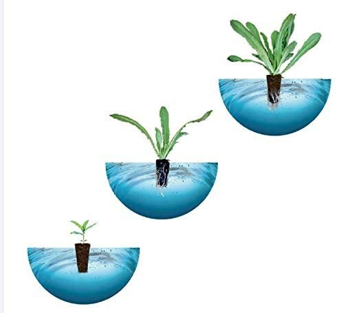 Adore Pro iDoo Grow Sponges Square Soil Free No-Mess Hydroponic Sponge (50-Pack) - Picture 4 of 9
