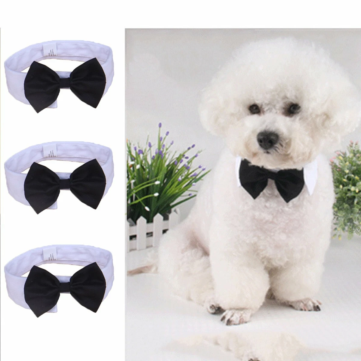 Black dog bow tie cheap