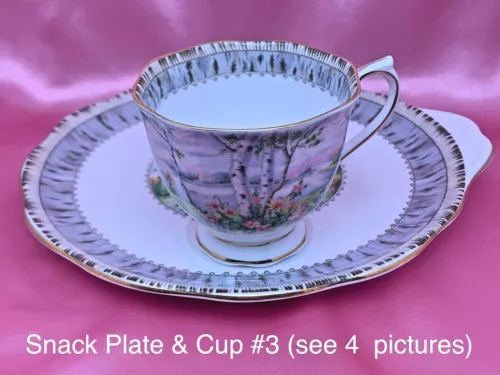 Royal Albert Silver Birch Tea Cup & Plate Snack Set 1957-1997 DISCONTINUED 403E