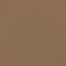 Lexus Tundra Tan Leather Dye