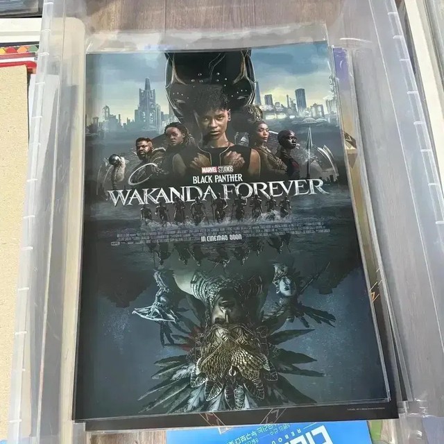 Black Panther Wakanda Forever IMAX 4DX Poster Art Card Marvel