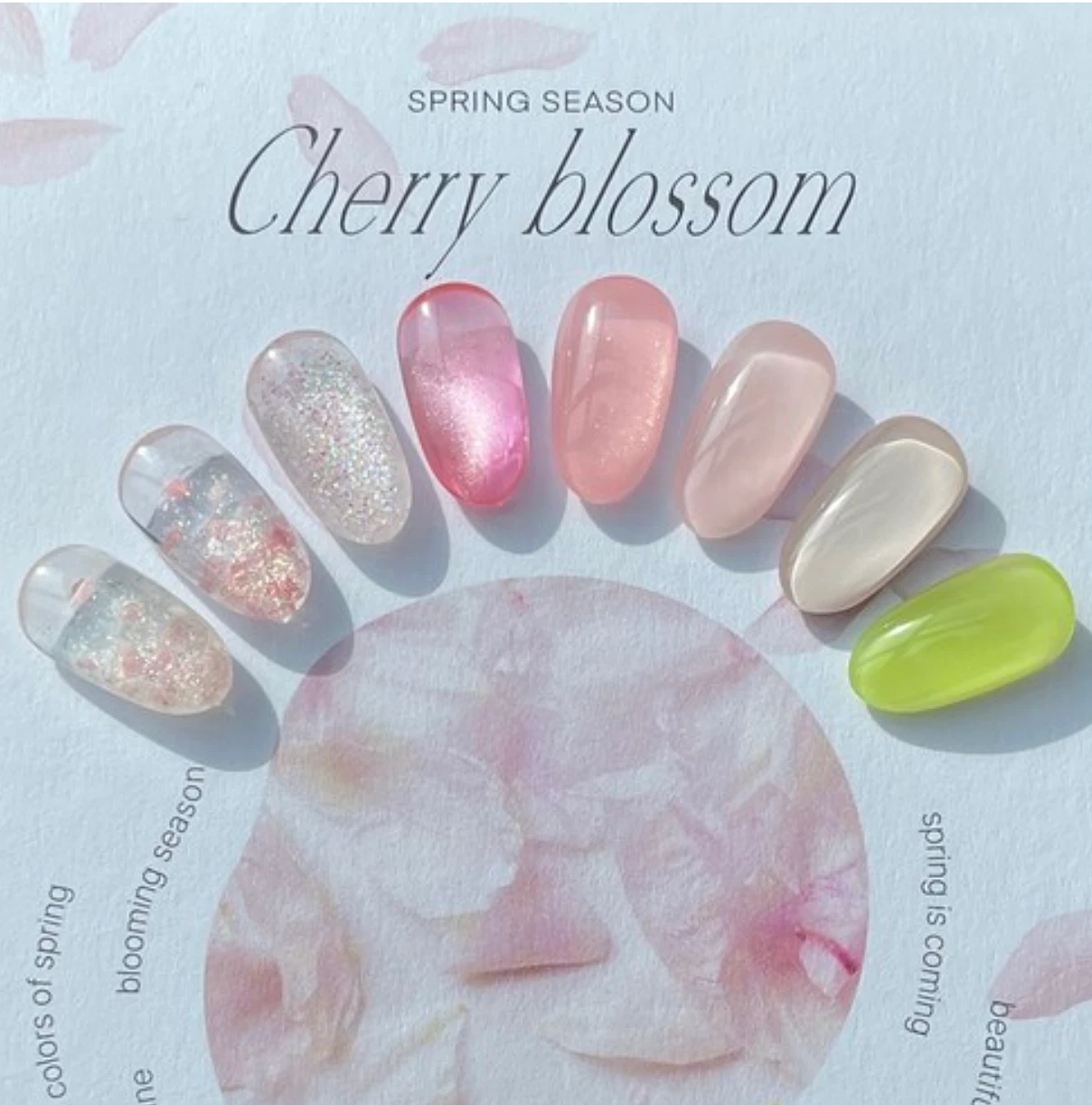 DVOK Cherry Blossom Gel Polish 8 Colors Set Nail Art K-beauty