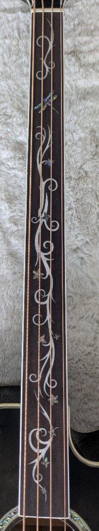 Michael Kelly Dragonfly 4 Fretless Acoustic-Electric Bass Guitar
