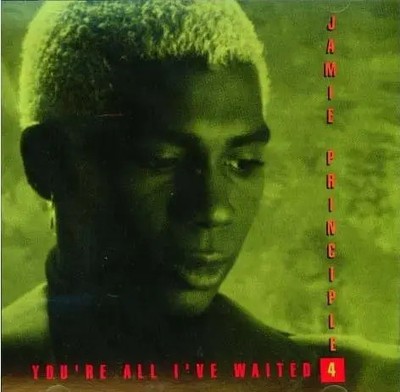 CD SINGLE Jamie Principle Youre All Ive Waited 4 Smash Records
