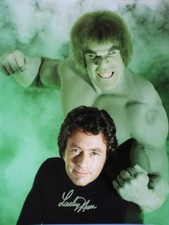 THE INCREDIBLE HULK David Banner LOU FERRIGNO signed 13