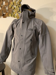 the north face apex flex gtx parka