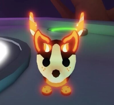 Adopt me |  NEON | Chocolate Chip Bat Dragon Neon fly ride   | FR |