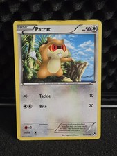 Patrat 77/114 Common Black & White Pokemon Lightly Played