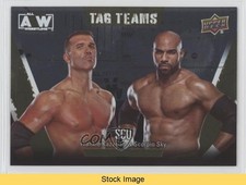 2021 AEW All Elite Wrestling Rainbow Foil Frankie Kazarian Patch Tag READ z6b