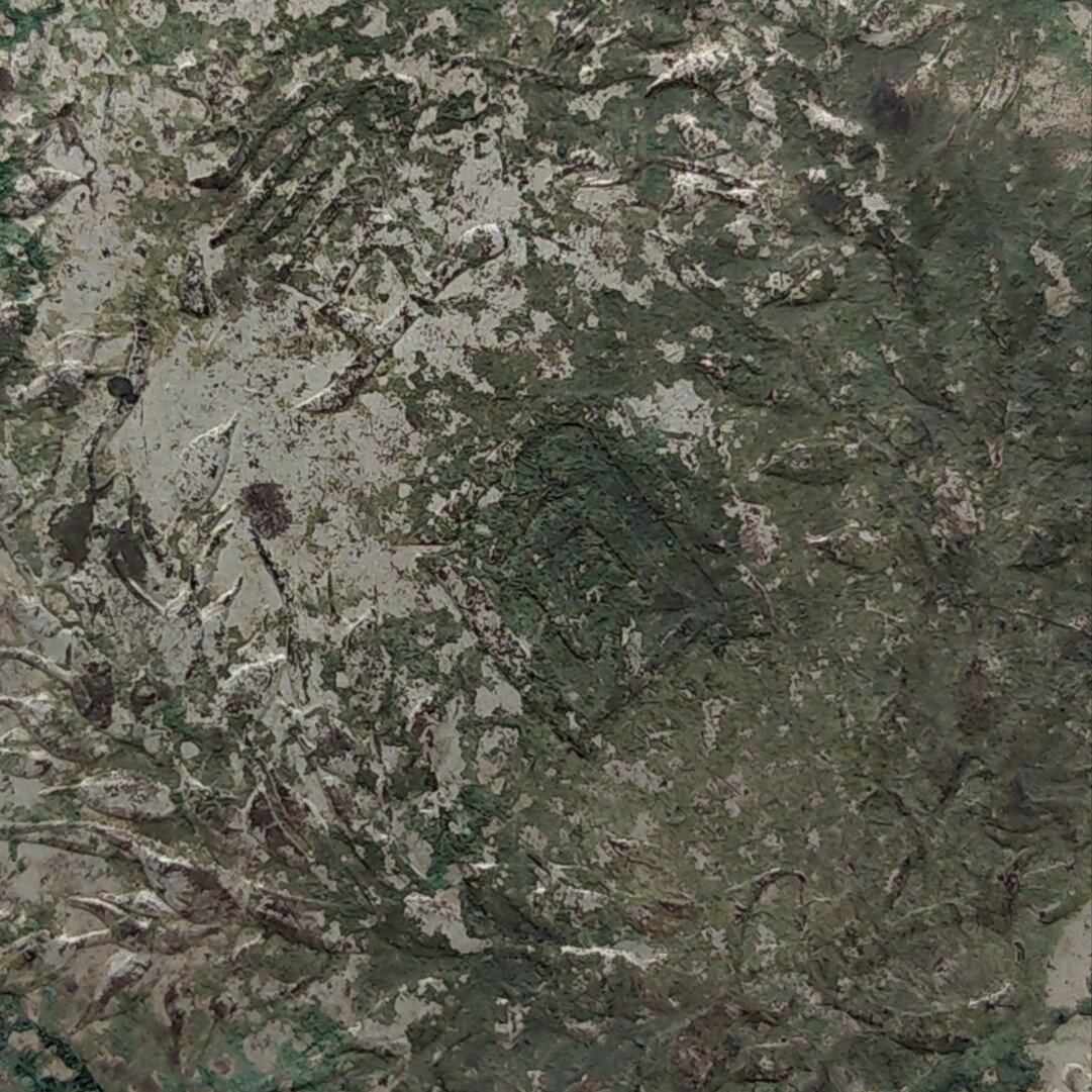 Picture 4 of 8